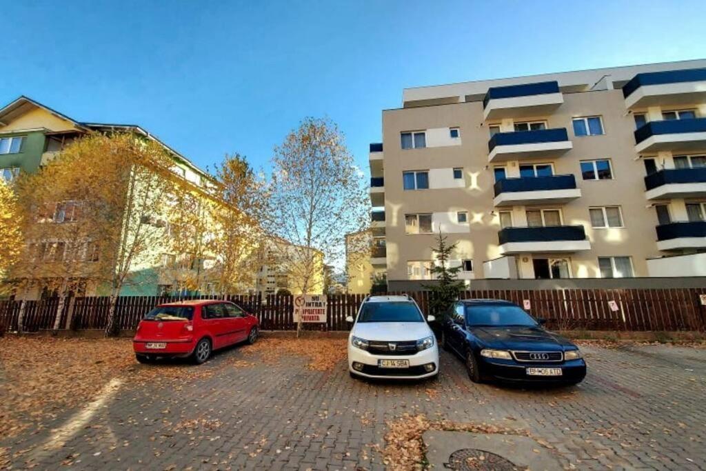 Spacious Flat, With Free Parking & Air Conditioning Floreşti Екстериор снимка