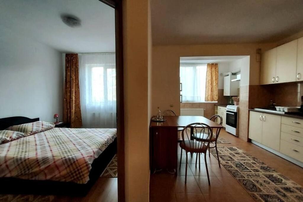 Spacious Flat, With Free Parking & Air Conditioning Floreşti Екстериор снимка