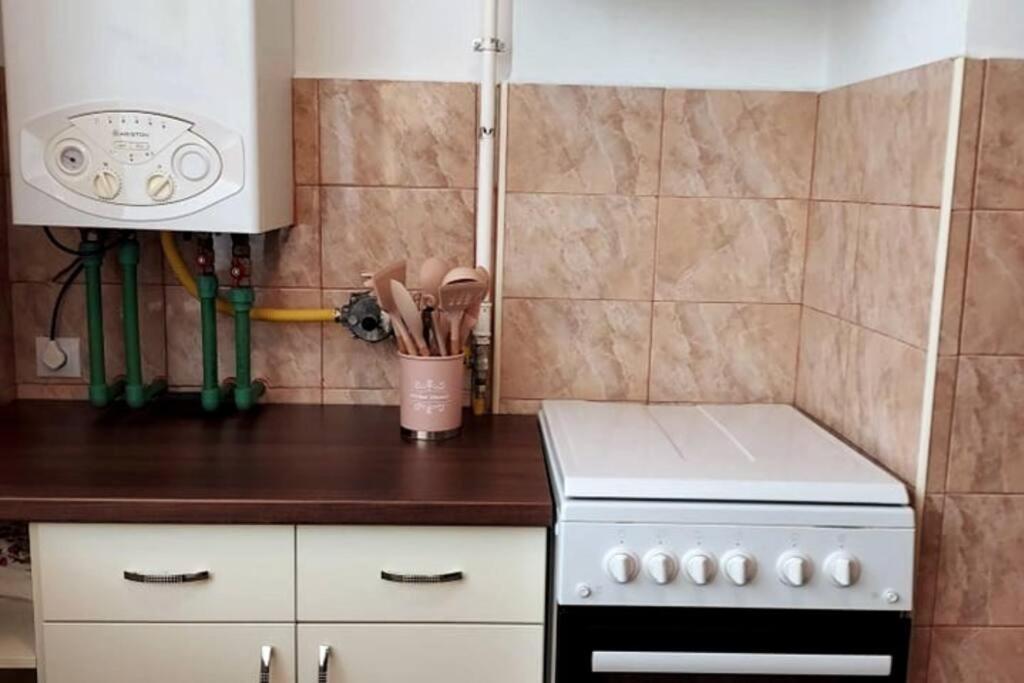 Spacious Flat, With Free Parking & Air Conditioning Floreşti Екстериор снимка