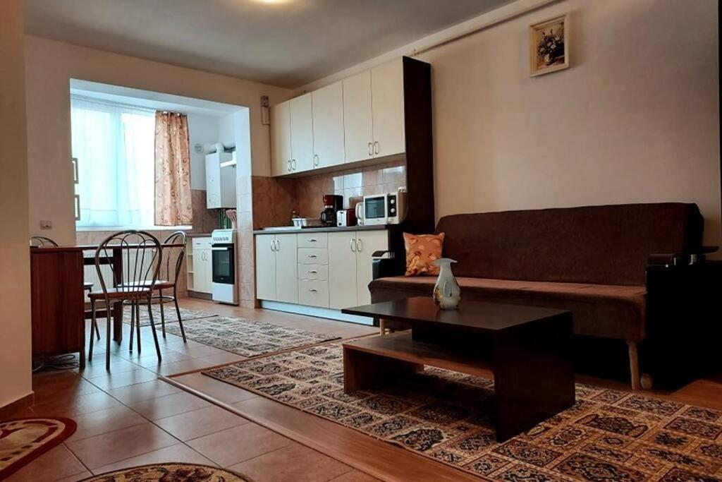 Spacious Flat, With Free Parking & Air Conditioning Floreşti Екстериор снимка