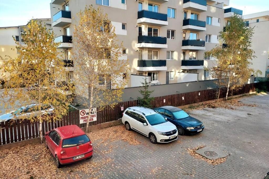 Spacious Flat, With Free Parking & Air Conditioning Floreşti Екстериор снимка